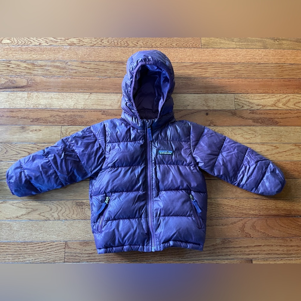 Patagonia Hi Loft Down Hoody 2T